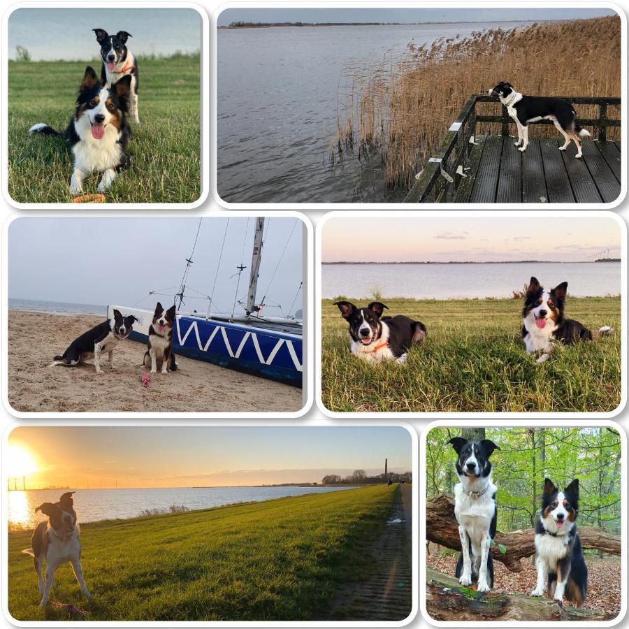 Riverside-Lemmer Eksteriør billede